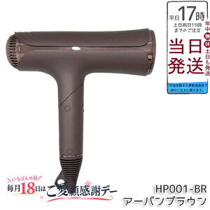 ���� KINUJO �V���N�v���~�A���h���C���[ Silk Premium Dryer HP001-BR �c���� ���� �T������ �啗�� ���� �R���p�N�g 3��̃��[�h 3��̃A�^�b�`�����g�m�Y�� ��p�X�^���h �ۏ�1�N�t�� �������K�i ��