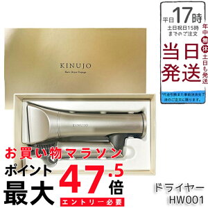 ���� KINUJO �w�A�h���C���[ �C�O�Ή� �{���[�W�� Hair Dryer Voyage HW001 �C�O�Ή� ���啗�� ���y�� ���ԊO�� �}�C�i�X�C�I�� �R���p�N�g