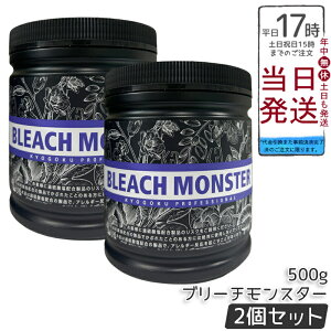 �y2�Z�b�g�zKyogoku �u���[�`�����X�^�[ 500g �����T�L�u���[�` �n�C�g�[�� �z���C�g�u���[�` �_���[�W�y�� �P�A�u���[�` �ێ� �Z���� �g���₷�� �T�����ꔄ ���{�� ���e���v���d�l ������