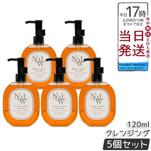 �y5�Z�b�g�zNOWL ���`�mC�A���}�N�����W���O 120ml �_�u�����s�v ��� ���� ���C�N���Ƃ� ���C�N �ь� �N�����W���O ���`�m�[�� ���e�t �X�L���P�A �R�X�� �q���� ������ �������K�i ������