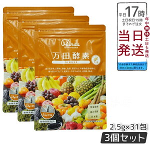 cyf y[Xg^Cv GINGER WW[  77.5g (2.5g×31) 3Zbg cyf cy N NHi lC  ʕ K̎ h{⏕ H NK X[p[t[h e 