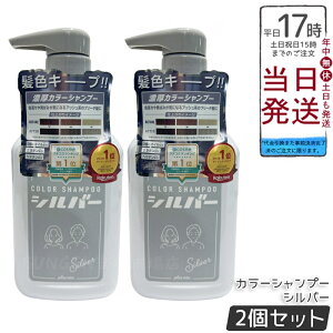 【2個セット】plus eau プリュスオー カラーシャンプー Silver 280ml