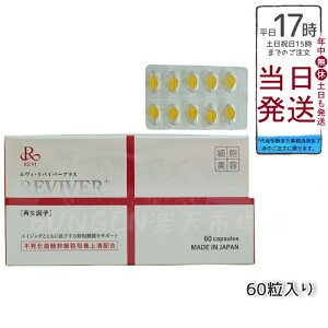 REVI �����@�C�o�[�v���X 60������i1��1���j�T�v�������g �T�C�Z�C���q �G�C�W���O�P�A REVI ������b�\ ROSSO �������� ���{��