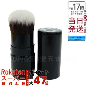 XsPA V3ZbgAbvpE_[uV pE_[puV SPICARE V3 set up powder brush Ki