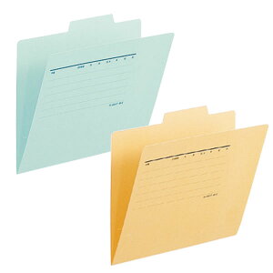 yA5-EES2FzvX^ʃtH_[ (FL-066IFE87-45) A5 ^ Îpvz95Đ PLUS