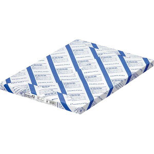 RN^KBp(p) FSCF64g^m2 A3 250iKB-238NjFXȕ̃v^Ɏgpł鋤L KOKUYO