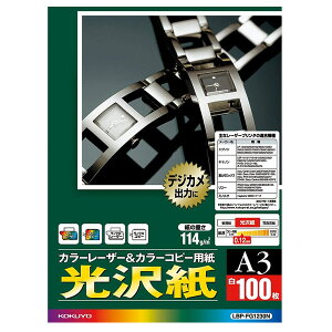 yA3TCYzRN^J[[U[J[Rs[pE򎆁iLBP-FG1230Nj@100@Жʈp@摜̈ɍœKȌ KOKUYO