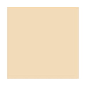 y3ZbgE6Zbgzy100zX}[go[^PF肪݁iB260J-35E365-297jx[W@c150×150mm@悭gFPF^SMARTVALUE