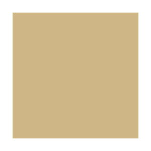 y3ZbgE6Zbgzy100zX}[go[^PF肪݁iB260J-41E365-301jAC{[@c150×150mm@悭gFPF^SMARTVALUE