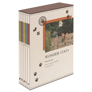 iJoV^5BOX|PbgAo L3i480 _[RR (5PL-480-2) Č tHgAo Nakabayashi