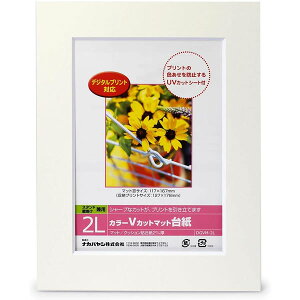 iJoV^J[VJbg}bg䎆 2L zCg (DGVM-2L-W) یV[gt tHgt[ Nakabayashi