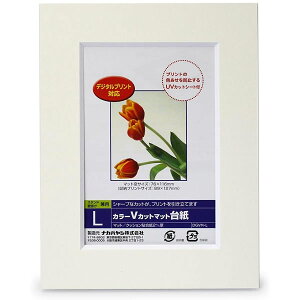 iJoV^J[VJbg}bg䎆 L zCg (DGVM-L-W) یV[gt tHgt[ Nakabayashi