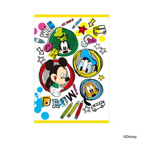 ナカバヤシ／ミニポケットアルバムミッキー＆フレンズ (ア-PAL-300-1) 写真収納枚数40枚 Disney Nakabayashi