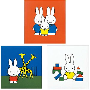 yS3FziJoV^tGAo S S[hC䎆@~btB[ (A-SA-121) ̂䎆 Nakabayashi