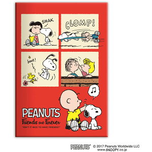 iJoV^~j|PbgAoXk[s[ ʐ^[40 (A-PAL-300-4) tHgAo Nakabayashi