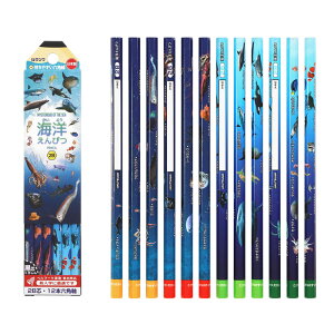 yc͂zNc^Cm҂ 2BiPA026jlC̊CmA[Cwׂ鉔M@KUTSUWA