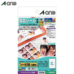 y͂TCYEzG[^͂TCỸv^xi29603j@6ʁ@p^@12V[gi72Ёj@ʐ^V[@tHg^Cv@򊴂̂鎆xgp^A-one