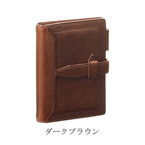�y�M�t�g������z���C���C����^mini5�T�C�Y Davinci �_���B���`�O�����f Roroma Classic�i�����}�N���V�b�N�j�|�P�b�g�T�C�Y�V�X�e���蒠 DPM3034 �_�E���B���`�i�����O11mm�j ��������