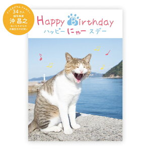 wXeCt^BDbZ[WubN@i˂jiB10045jnbs[ɂ[Xf[@Lʐ^Ɓ@V aJ[h@v[g@Gakken