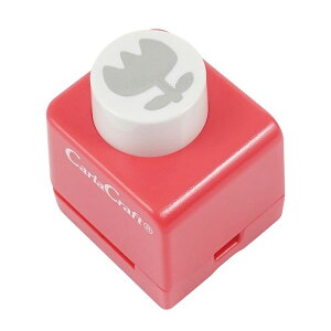 J[^~jNtgp`iCN12110j@`[bv@̎ԂyIFBA蕨Ɂ^CARL