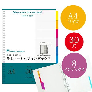 �yA4�T�C�Y�z�}���}�� ���~�l�[�g�^�u�C���f�b�N�X ���[�Y���[�t 30�� 8�R 8���iLT4008�j/maruman/�C���f�b�N�X�V�[�g