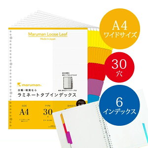 yA4ChTCYz}} ~l[g^uCfbNX NA|Pbgp 60(6R×10g) 30iLT3006Fj/maruman