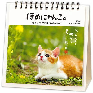 【2026年版】ホールマーク/ほめにゃんこ【卓上カレンダー 2026】(YDC-845-551)キュートな子猫たちから励ましのメッセージ