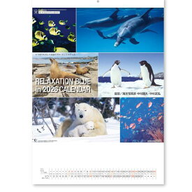 【2026年版】新日本カレンダー／リラクゼーション ブルー（NK-32）壁掛け　海を舞台にした究極のヒーリングアート