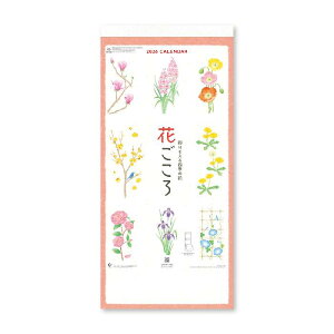 y2026NŁzV{J_[^Ԃ `ʂ肻lG̉ԁ`i3jiNK-913jǊ|@â킢ԂɁASقƂȂ݂܂