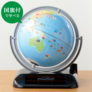 しゃべる 地球儀 価格