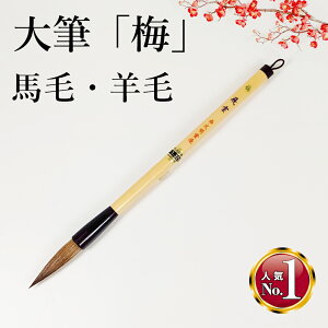 ʁEwpM@~@_@nсErс@撼a11mm(3081560)@ƂĂ₷AʁEwpɂ҂Bpi