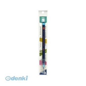  CA200-05 ␅ʖѕM  ΐF CA20005