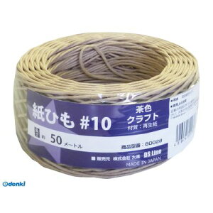 PROMOTE プロモート 4516474800276 80027 DS_Line カミヒモ 10ゴウ チャイロ 50m