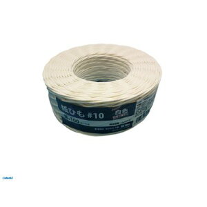 PROMOTE プロモート 4516474800504 #10x100 DS_Line 紙ひも 白