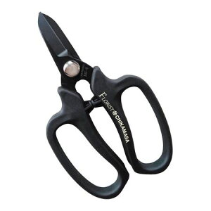 ߐ MF-9000B fbNX MF9000ByLZsz