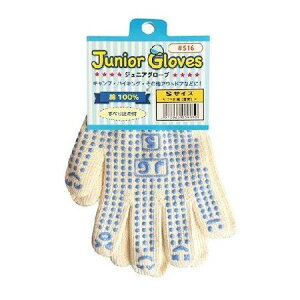 Y 4972966009150 WjAO[u~ߕt S 516