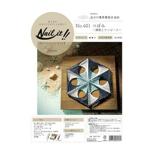 (LINE�N�[�|���L)���Y�� WAKAI NKIT401 �l�C���C�b�g �L�b�g�i 401 �ڂ� �����ƃ����s�[�X Nail �X�g�����O�A�[�g�L�b�g ��������䶗� ��䶗��ڂ�