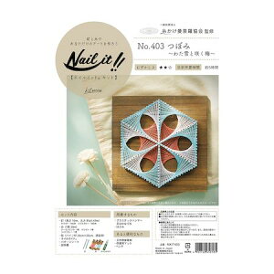 (LINE�N�[�|���L)���Y�� WAKAI NKIT403 �l�C���C�b�g �L�b�g�i 403 �ڂ� �킽��ƍ炭�~ Nail �X�g�����O�A�[�g ��������䶗�