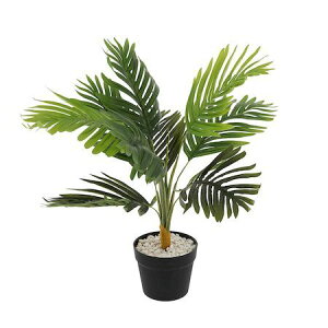 観葉植物 テーブル ヤシの人気商品 通販 価格比較 価格 Com 観葉植物 テーブル ヤシの人気商品 通販 価格比較 価格 Com