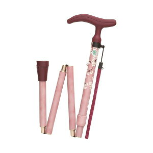 4977626733680 y5zANeBuO[X ܏S sNyLZsz