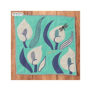 4512873041500 y8z morita Miw K[[nJ` ԂƃJQEyLZsz