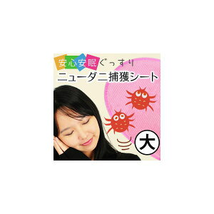 4560178409662 y10zj[_jߊlV[g  25128yLZsz