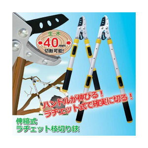 4954438803794 �L�k�����`�F�b�g�}�؂��� 27295�y�L�����Z���s�z