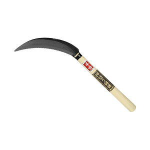 4977292602983 g ؂苘 170mm