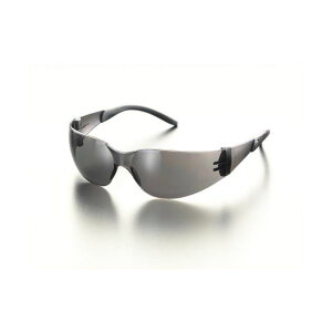 GXR EA800AR-17 ی߂ X[N EA800AR17yLZsz