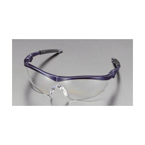 GXR EA800CH-2 ی߂ NA[ElCr[ EA800CH2yLZsz