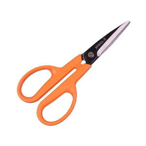 4977292180634 Ntg RpNg 4977292180634