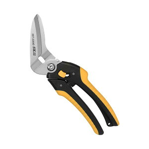 4977292129268 SK11 XgO\͂ AD SST|220AD