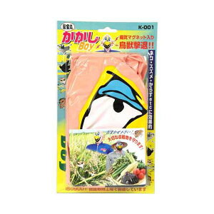 4989586451160  JJVBOY K|001