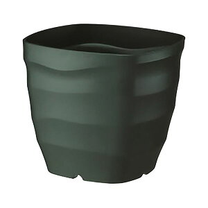 4903266726812 }g tO[XNGA|bg 28K^ DG